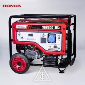 【特殊材積商品】日本大新 SGB8001Hsa發電機8000W