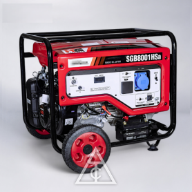 日本大新 SGB8001Hsa發電機8000W